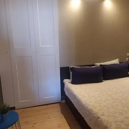 Julia Lacplesa Apartments Riga Room photo