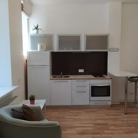 Julia Lacplesa Apartments Riga Room photo